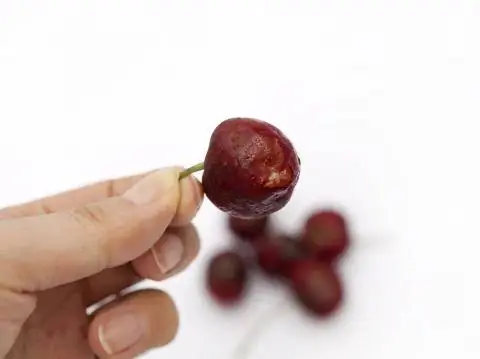 плохая вишня в руке