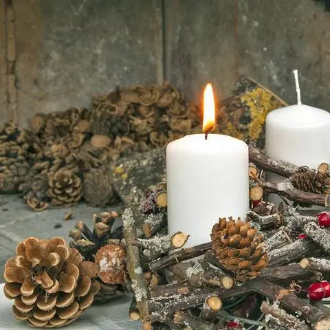 Новогодние украшения из натуральных материалов.