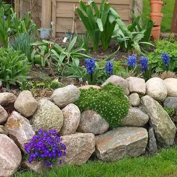 фризская стена