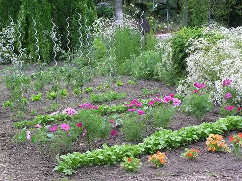 Смешанная культура с летними цветами