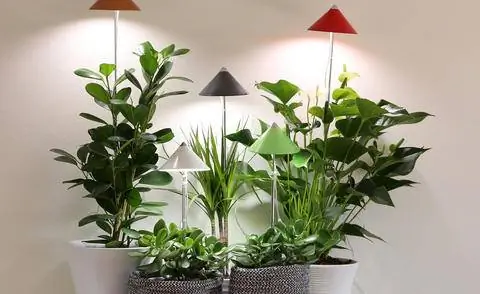 Освещение для растений Sunlite от Venso EcoSolutions