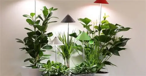 Лампы для растений, светильники для растений