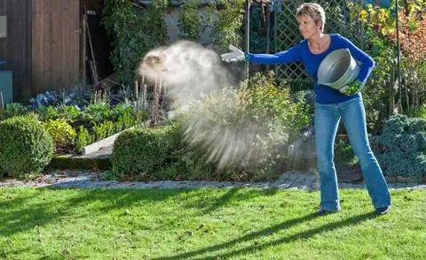 известь газон