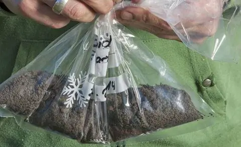 Образец почвы для анализа почвы