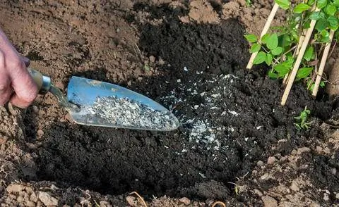 Органические азотные удобрения из роговой стружки