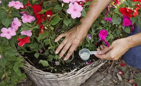 Удобрение NPK для балконных цветов