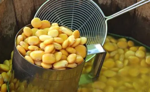 Замоченные семена люпина