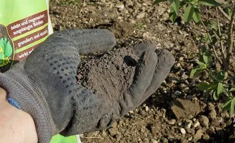 Нанесите почвенный активатор вручную