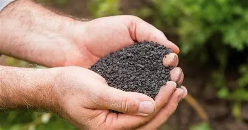 Почвенный активатор: самые важные советы