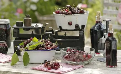 Взвешивание черешни для консервирования