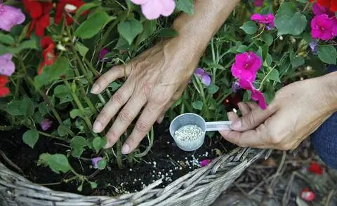 Долгосрочное удобрение для балконных растений