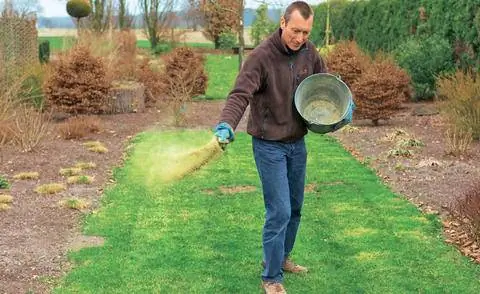 Удобряйте газон органическим удобрением медленного действия.