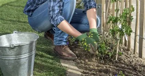 Медленнодействующее удобрение