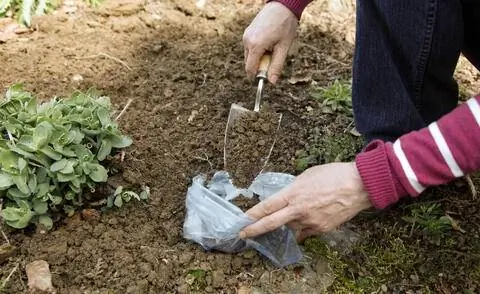 взять образец почвы