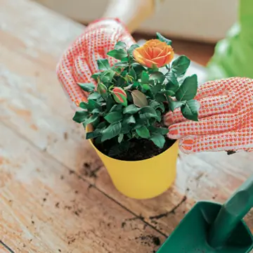 нажимать на подложку