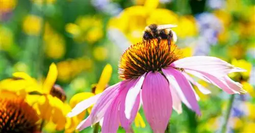 Краткий обзор всех юбилейных акций