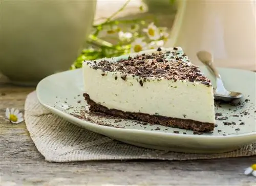 Шоколадно-мятный чизкейк «Коктейль Мохито»