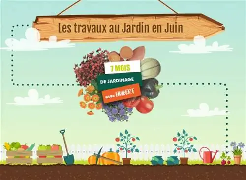 Работа этого месяца в саду Хьюберта