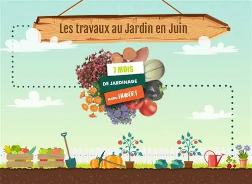 Июнь в саду Юбера: хорошие жесты к началу лета