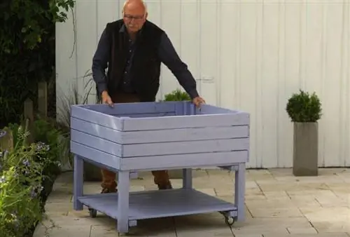 Как создать в городе мини-огород для гурманов?