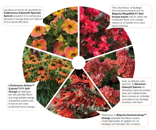 Моменты Chromatik: 5 бодрящих оттенков оранжевого