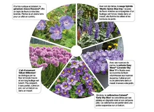 Моменты Chromatik: фиолетовый, вдохновляющий оттенок