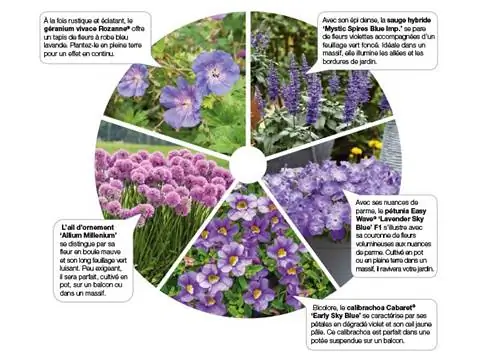 Моменты Chromatik: фиолетовый, вдохновляющий оттенок