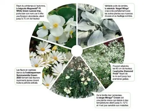 Моменты Chromatik: белый - незаменимый оттенок