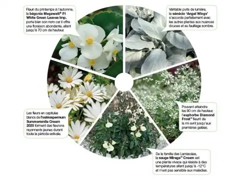 Моменты Chromatik: белый – незаменимый оттенок