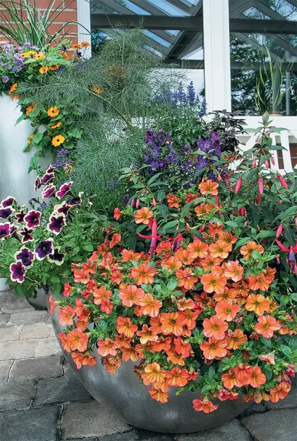 Как сделать красочный цветочный горшок на протяжении всего лета