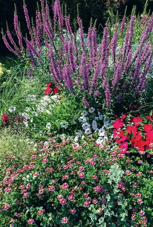 Как создать красочную летнюю грядку?