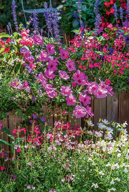 Создайте летнюю клумбу на двух уровнях