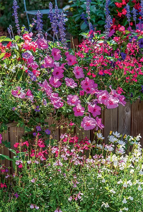 Создаем летнюю клумбу на двух уровнях