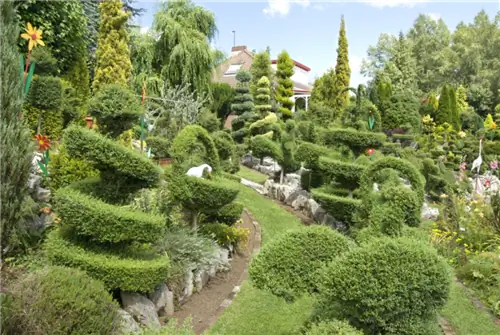 Топиарий из Ligustrum delavayanum, Cupressus sempervirens 'Swane's Golden', Cupressus arizonica, Cupressus Macrocarpa 'Goldcrest'