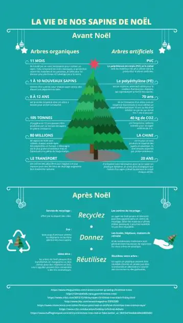 инфографика о жизни рождественской елки