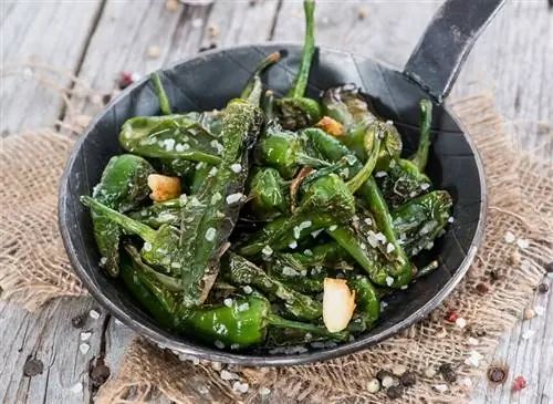 Рецепт Padron pimientos с перцем поксиго