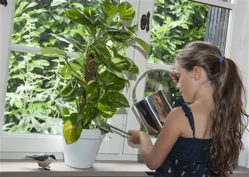 Растения, которые нельзя сажать в спальне