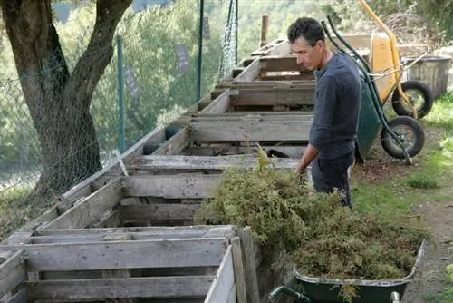 использование компоста в саду