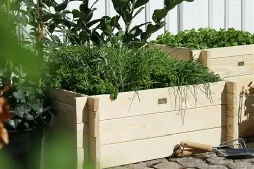 Посадки в конце мая: как выбрать огород?