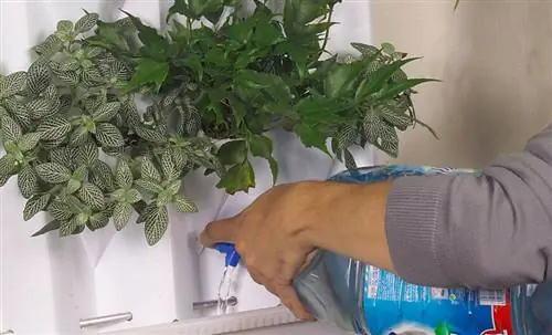 ручной полив зеленой стены ручной полив зеленой стены