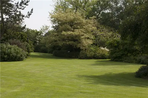 Как правильно уложить газон за три шага