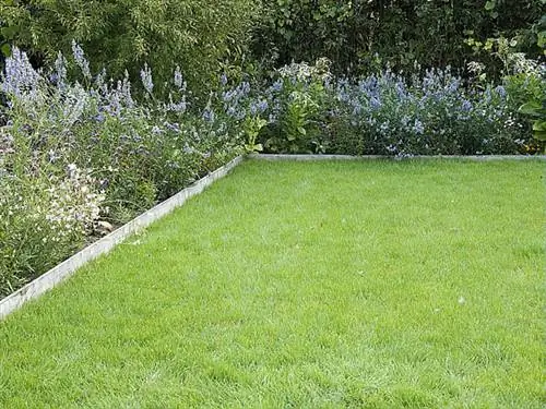 Как удачно засеять газон: шаг за шагом