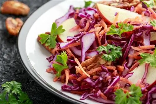 салат из красной капусты, грецких орехов и яблок. Вход на осень и зиму