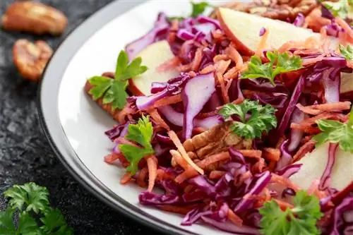 Краснокочанная капуста с яблоками и грецкими орехами