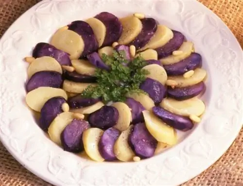 картофельный салат с кедровыми орешками и кервелем