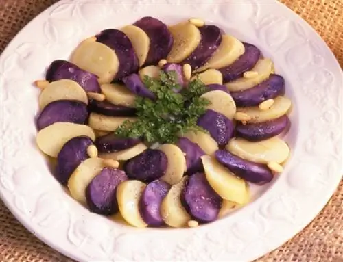Вителотте и картофельный салат с мальками