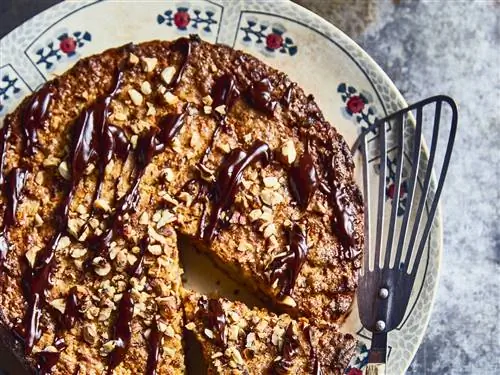 Изысканный торт с яблоком, фундуком и шоколадом