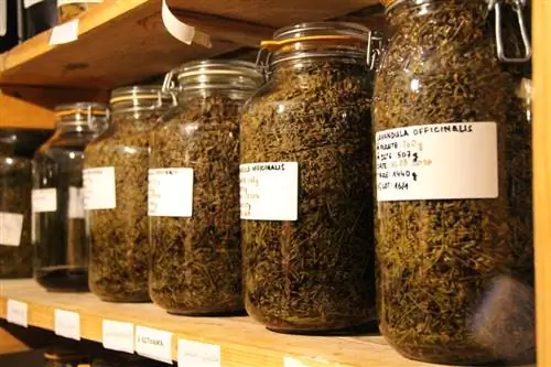 Бутылки мацератов Бутылки мацератов