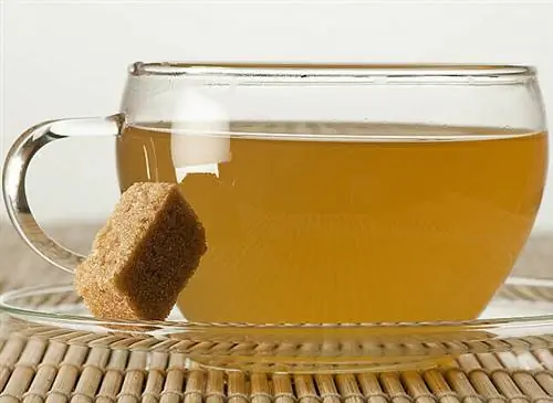 чашка травяного чая