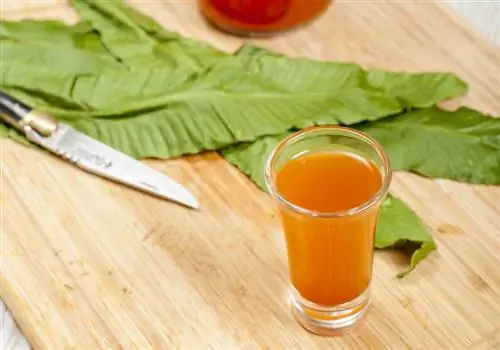 эликсир сороконожки